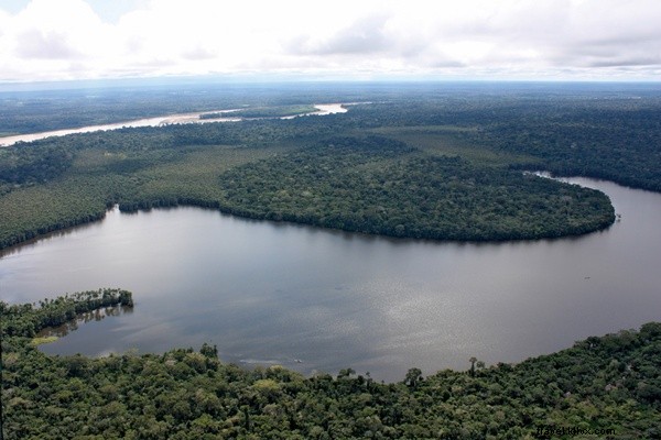 Guided Tarantula Encounters in Peru s Tambopata National Reserve