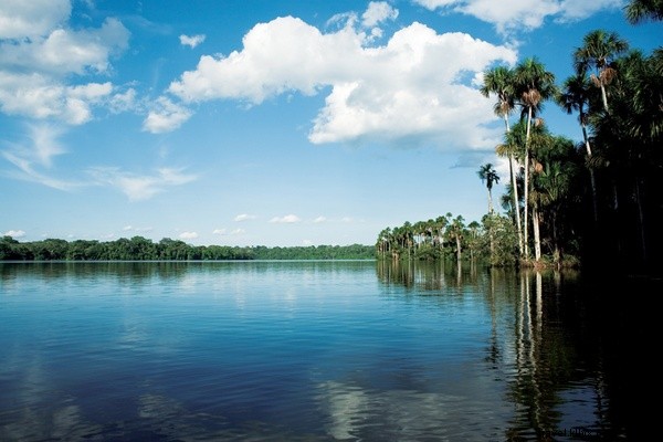 Guided Tarantula Encounters in Peru s Tambopata National Reserve