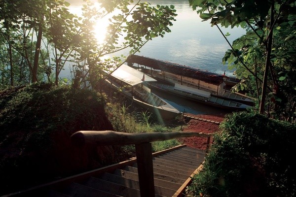 Guided Tarantula Encounters in Peru s Tambopata National Reserve