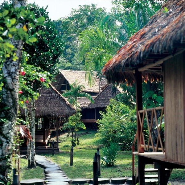 Guided Tarantula Encounters in Peru s Tambopata National Reserve