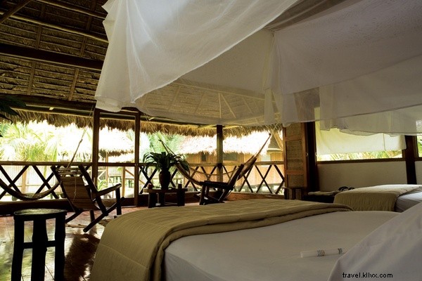 Guided Tarantula Encounters in Peru s Tambopata National Reserve