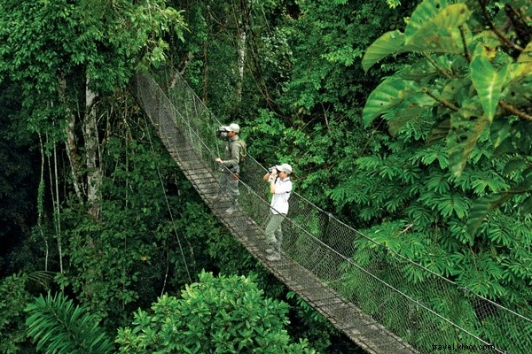 Guided Tarantula Encounters in Peru s Tambopata National Reserve