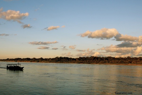Guided Tarantula Encounters in Peru s Tambopata National Reserve