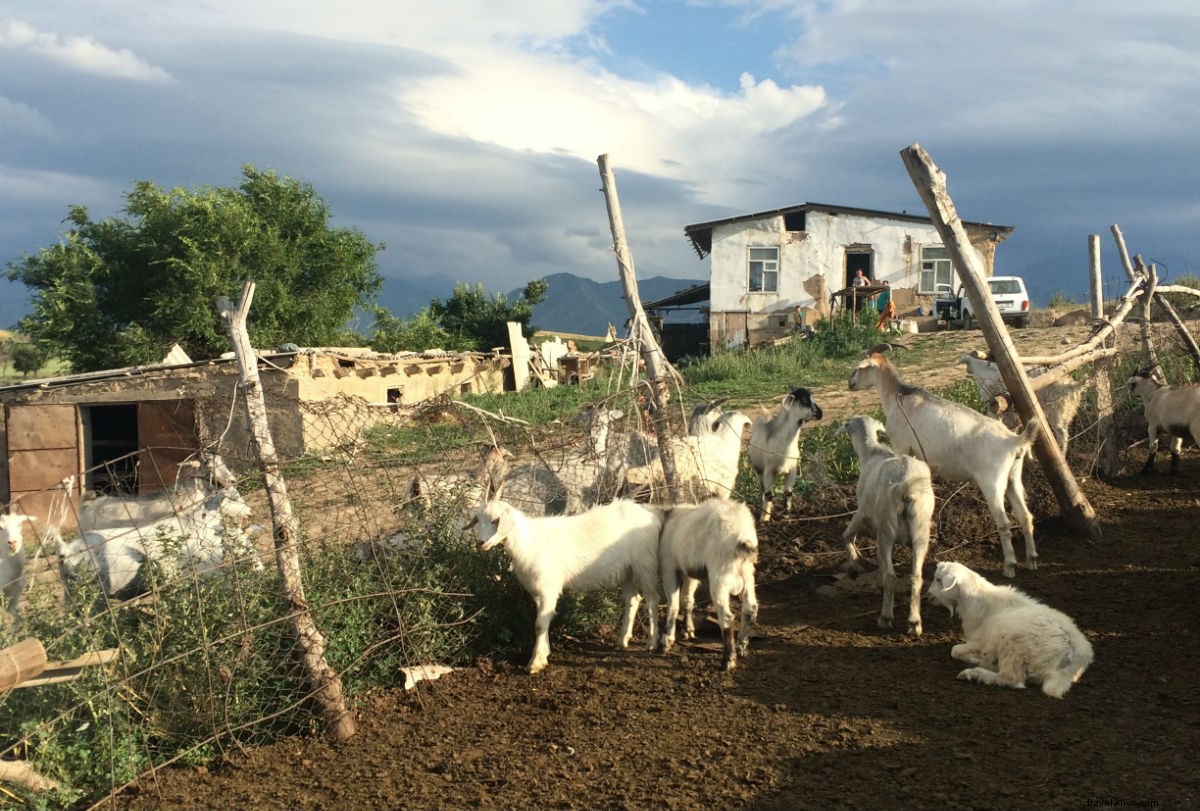 Solo Adventures in Central Asia: Tindering My Way Through Kyrgyzstan