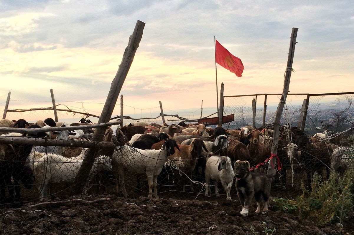 Essential Primer: Discover Central Asia s Five  Stans Before You Go