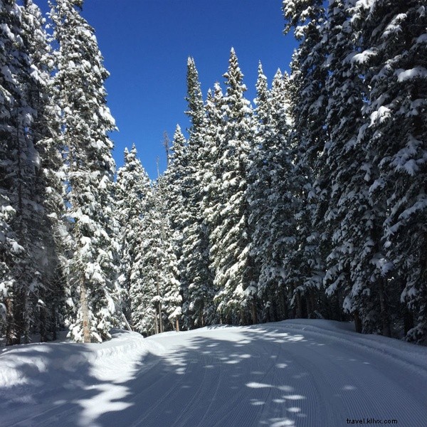 Telluride Skiing: How I Learned to Embrace the Epic Powder Snow
