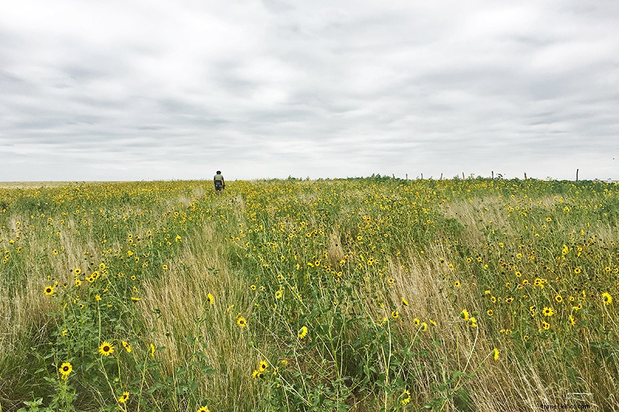 Bikepack Across the USA: My 37-Night Adventure and How You Can Do It Too