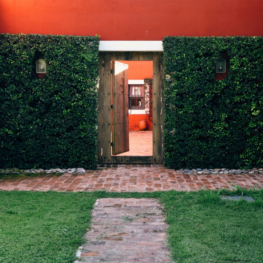 Experience Authentic Campo Life at La Bamba de Areco, Argentina