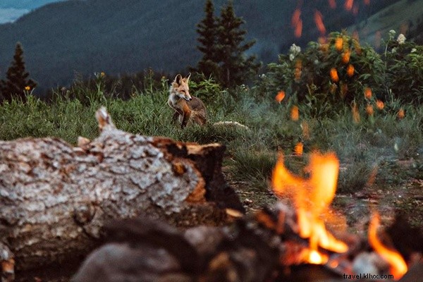 Links We Love: Top Internet Finds from July 29, 2017