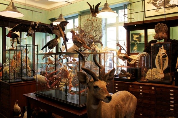 Atlas Obscura Book: Discover 600+ Hidden Wonders of the World