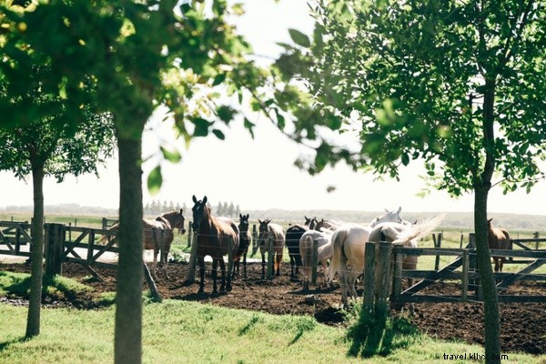 Curated Links We Love: Top Internet Highlights from April 29, 2017