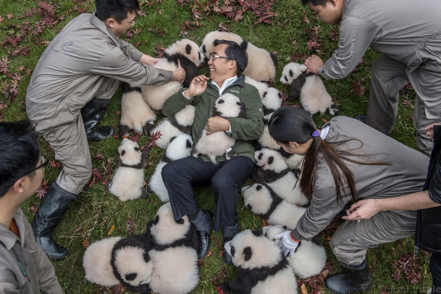 Links We Love: Top Internet Highlights from April 22, 2017