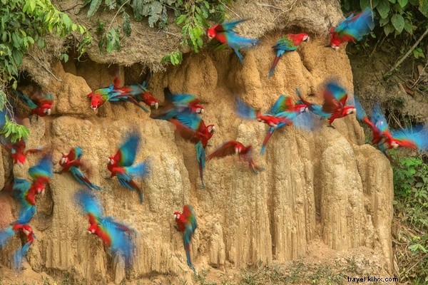 Links We Love: Top Internet Highlights from April 22, 2017