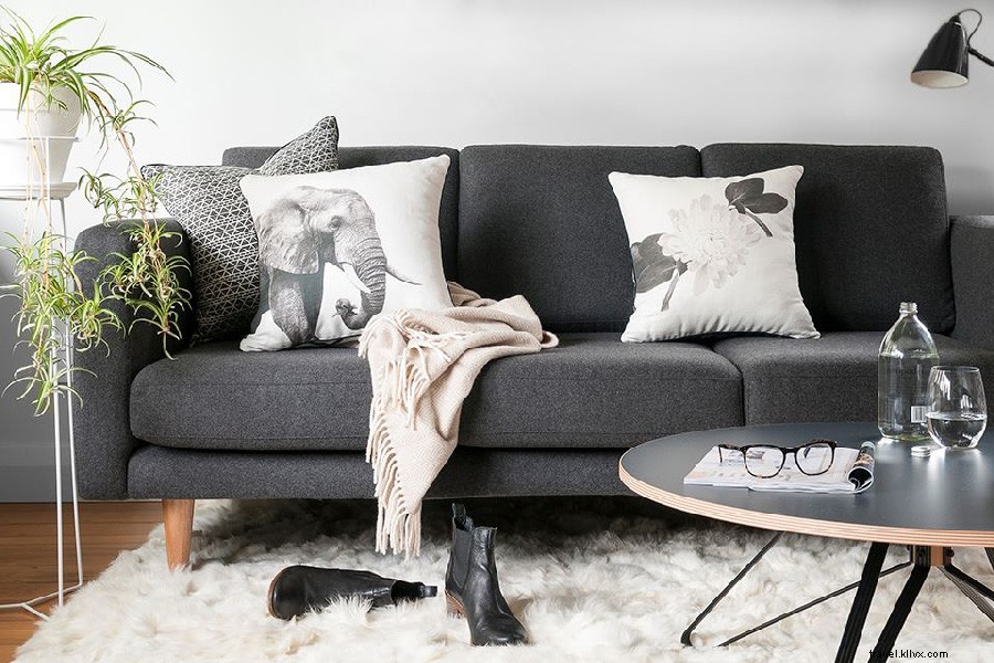 6 Must-Buy Souvenirs from New Zealand: Treasures from Down Under