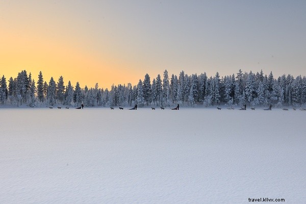 Weekly Favorites: Stunning Solar-Powered Glass Treehouse in Kazakhstan
