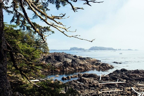 Fathom s Curated Links We Love: November 12, 2016