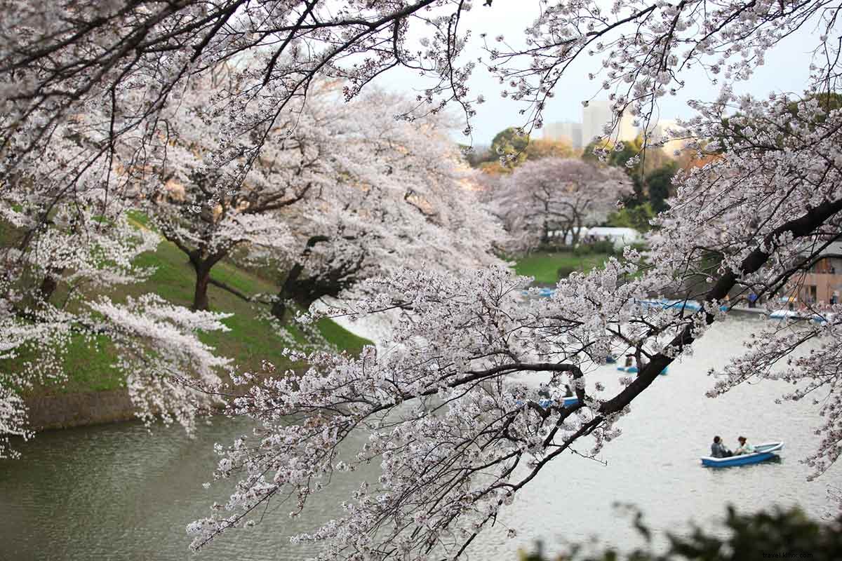 Curated Links We Love: April 2, 2016 – Celebrating Zaha Hadid s Legacy