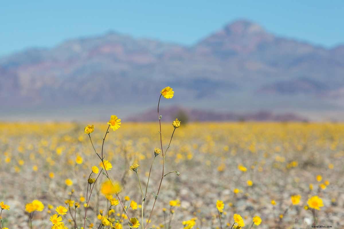 Top Links We Loved This Week: March 26, 2016 | FathomHQ Highlights