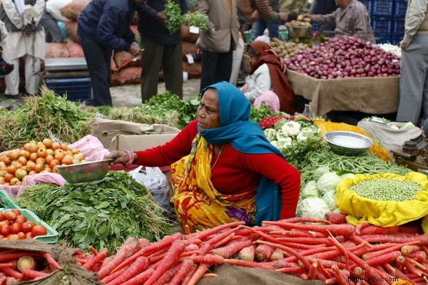 Expert Tips for Off-the-Beaten-Path Adventures with Young Kids