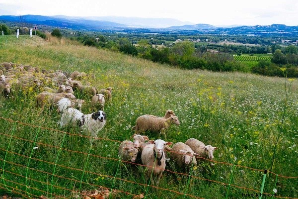 Top Links We Loved at FathomHQ: Week of December 12, 2015