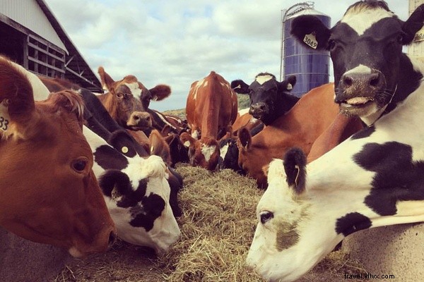 Top 10 Emerging Food Trends: What You ll Be Eating Next