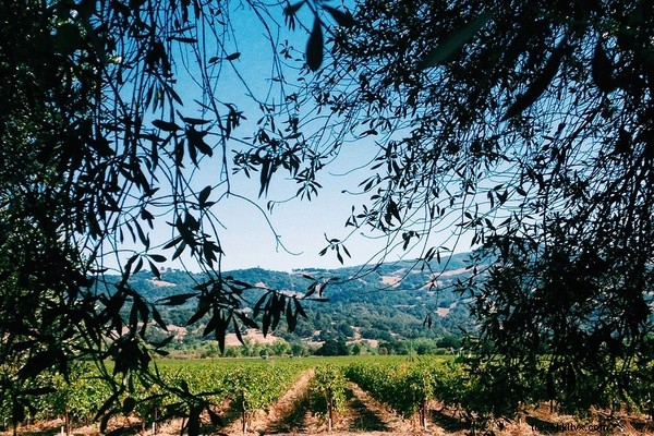 Top Links We Love: October 10, 2015 Weekly Roundup