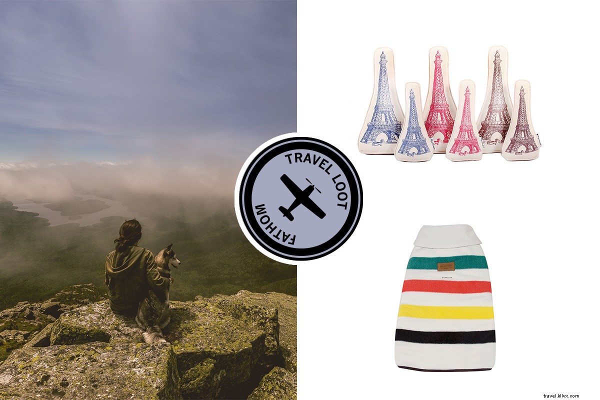 Essential Travel Gear for Globetrotting Dogs: Pack Like a Pro