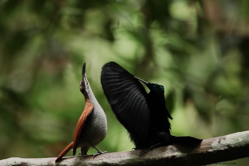 Fathom HQ s Favorite Links: September 12, 2015 Edition