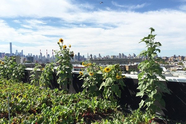 Fathom HQ s Top Links: Hilarious National Park Reviews & More (Aug 29, 2015)