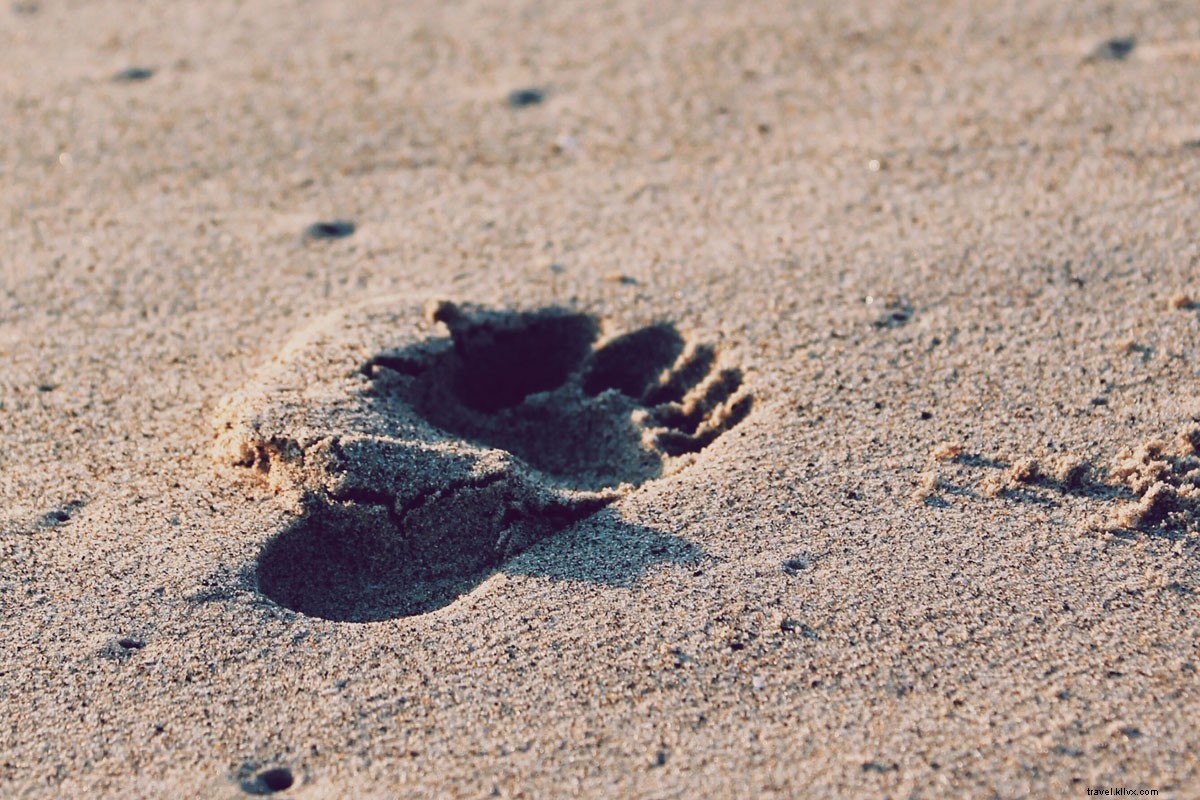 Essential Summer Shoes: Preppy Classics for Beach and Late-Season Travel