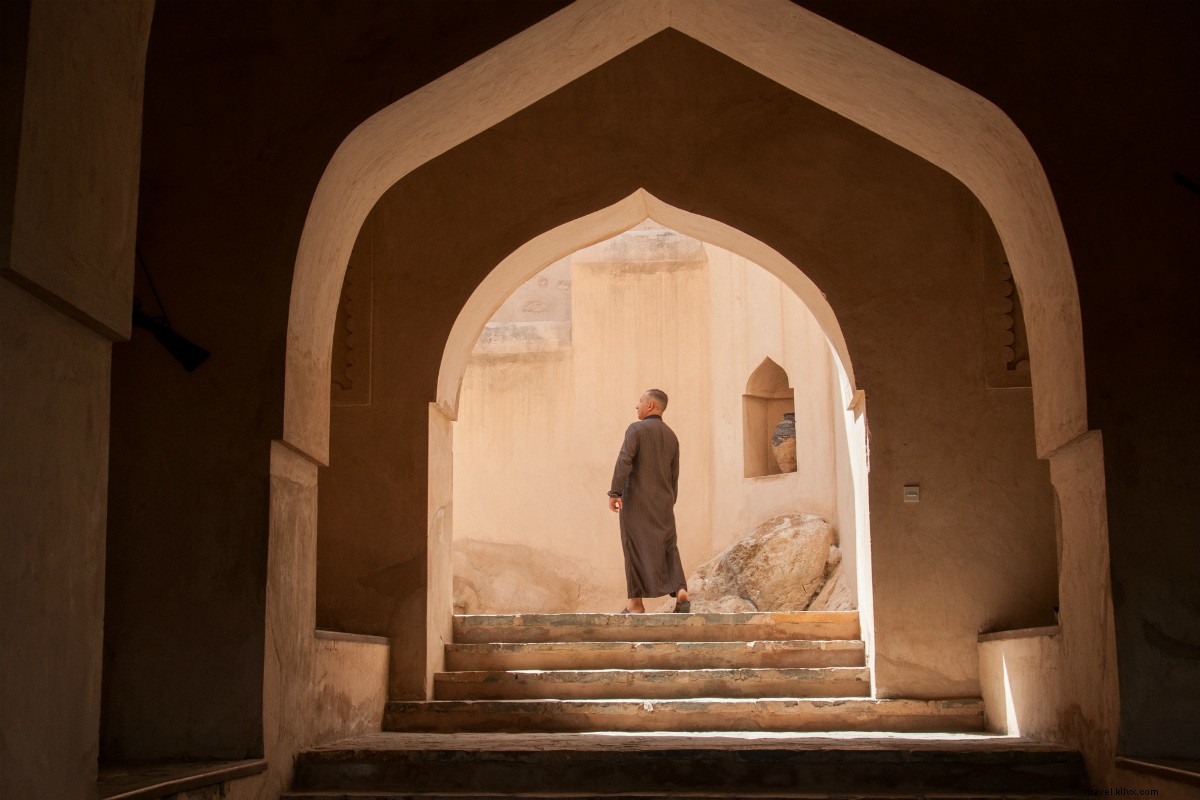 Fathom HQ s Favorite Links: Adorable Bunny Sea Slug & More (July 18, 2015)