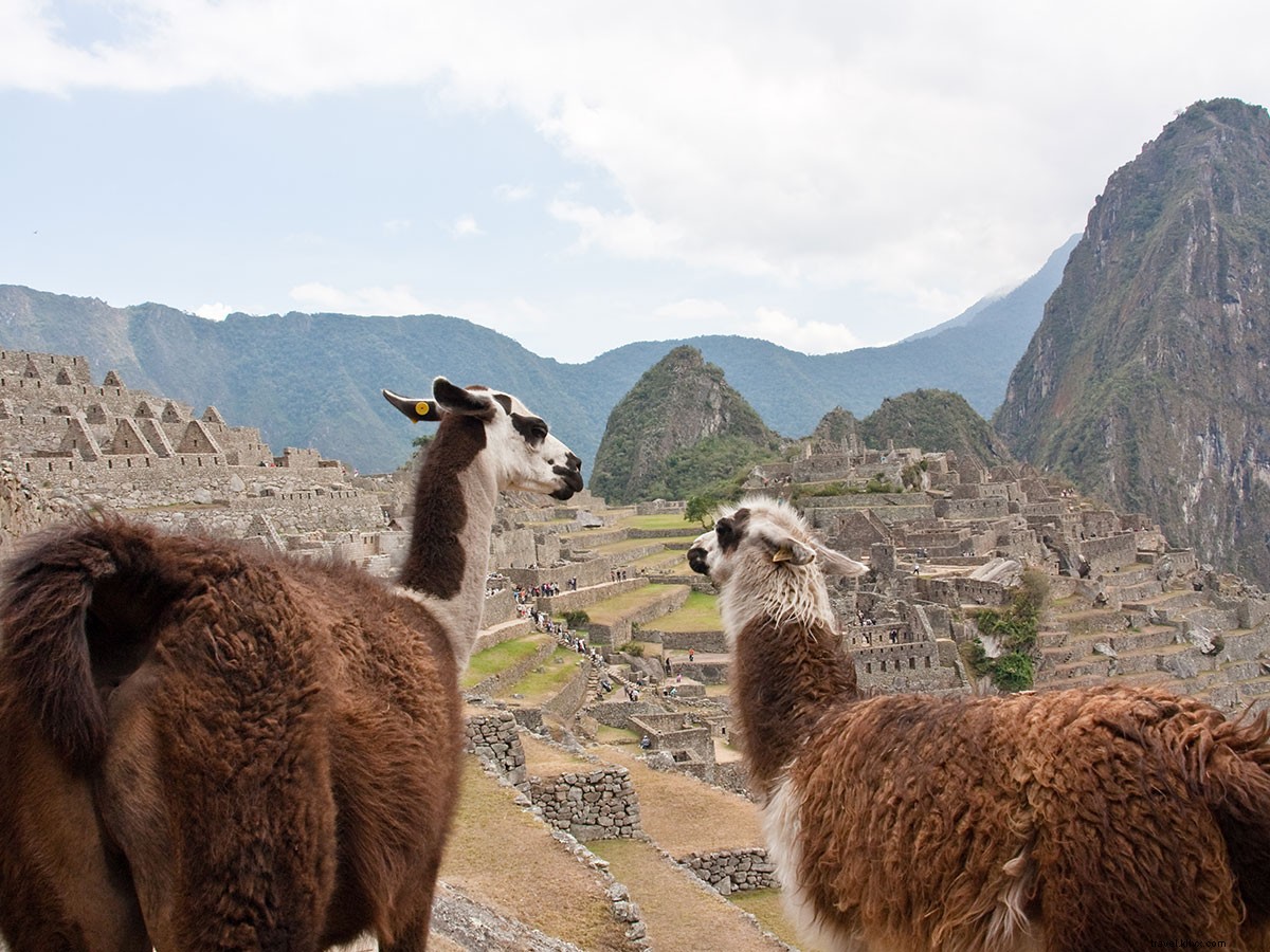 Fathom s Favorite Links: Week of May 23, 2015