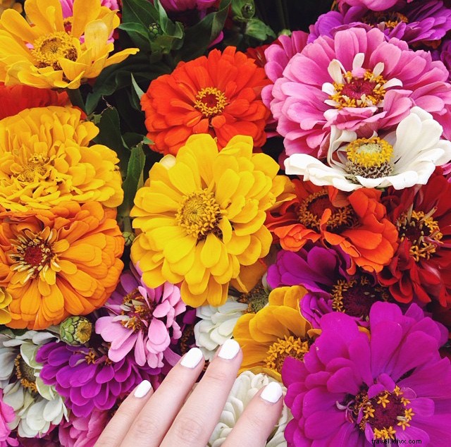 Curated Links We Love: Top Picks from April 11, 2015