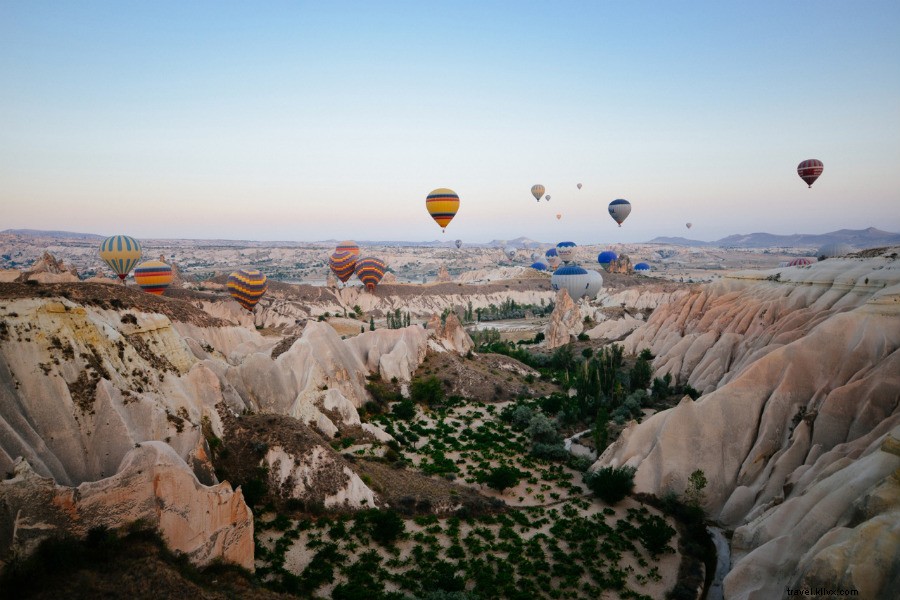 Curated Links We Love: November 15, 2014 Edition