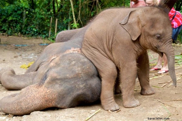 Handpicked Links We Love: November 1, 2014 Edition