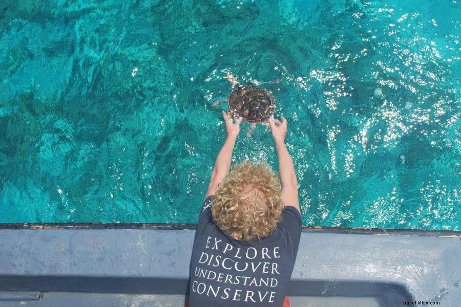 Volunteering in Paradise: Giving Back with Atoll Volunteers in the Maldives
