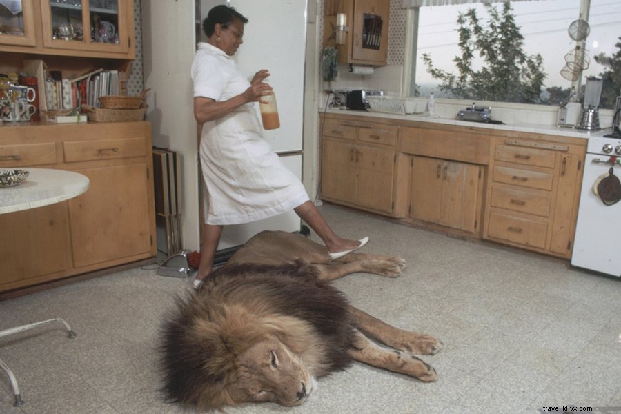 Curated Links We Love: October 18, 2014 Edition