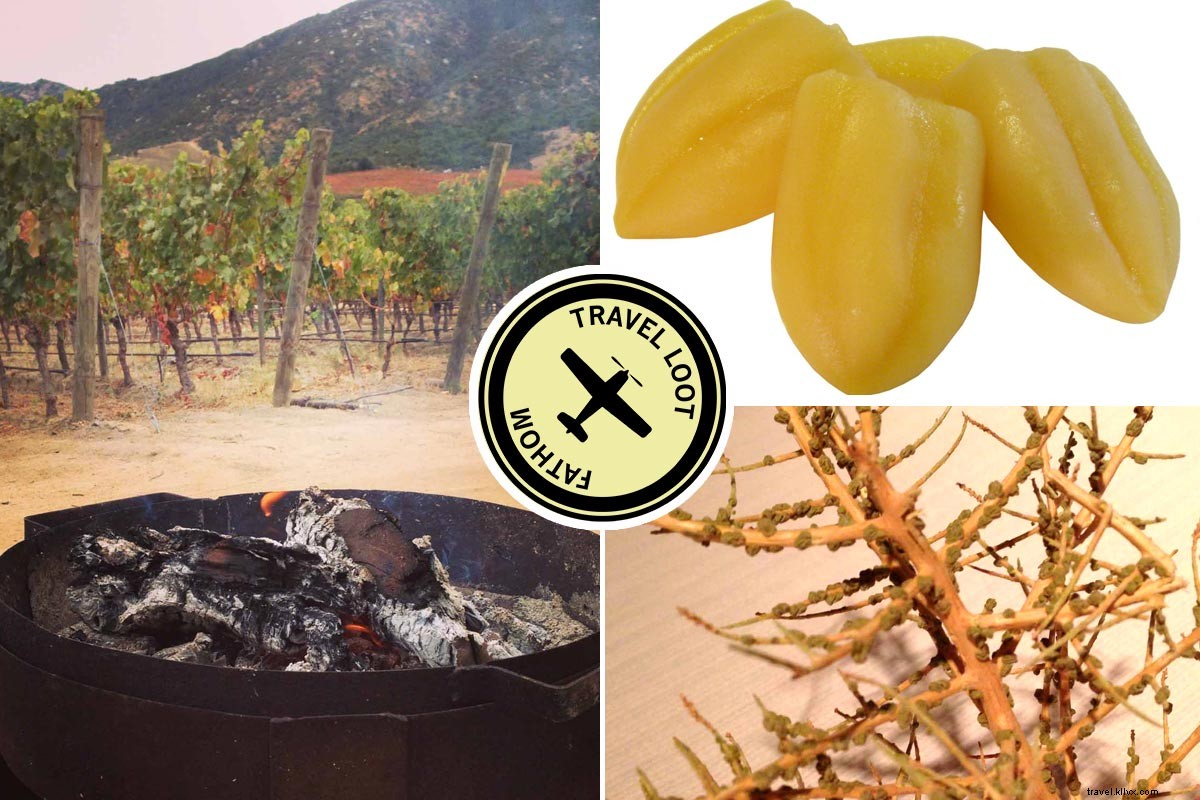 Discover Chile s Extraordinary Bounty: Wines, Apples, Salmon & More