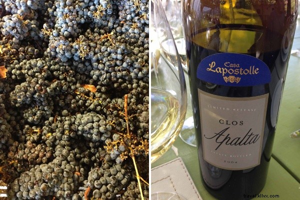 Discover Chile s Extraordinary Bounty: Wines, Apples, Salmon & More