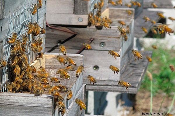 Curated Links We Love: NYC Highlights & Global Gems (September 20, 2014)