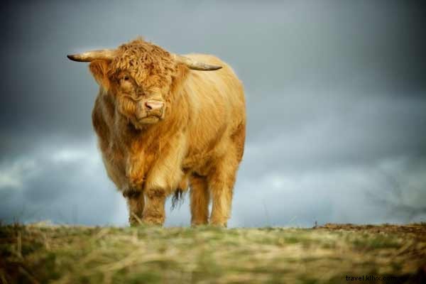 Curated Links We Love: Top Picks for August 23, 2014