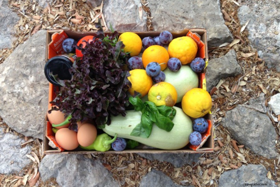 Organic Transformation at Historic Pedruxella Gran in Mallorca