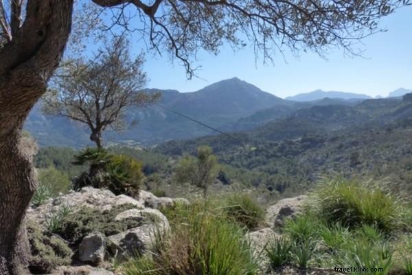 Organic Transformation at Historic Pedruxella Gran in Mallorca