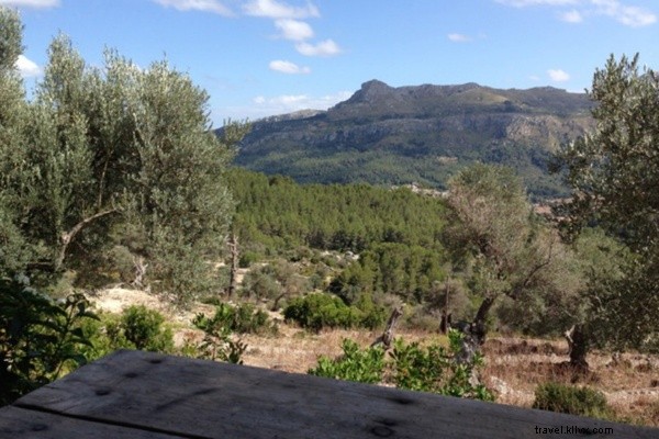 Organic Transformation at Historic Pedruxella Gran in Mallorca