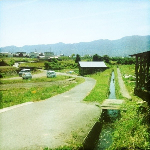 From City Dreams to Organic Farm Reality: A Singaporean s WWOOF Adventure in Wakayama, Japan