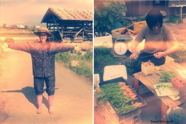 From City Dreams to Organic Farm Reality: A Singaporean s WWOOF Adventure in Wakayama, Japan