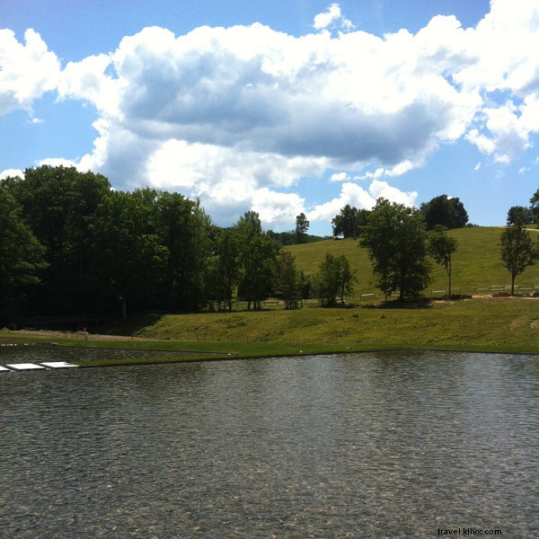 Step Into a Masterpiece: Immersive Art at The Renovated Clark Art Institute