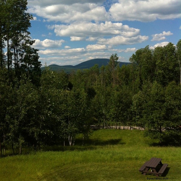 Step Into a Masterpiece: Immersive Art at The Renovated Clark Art Institute