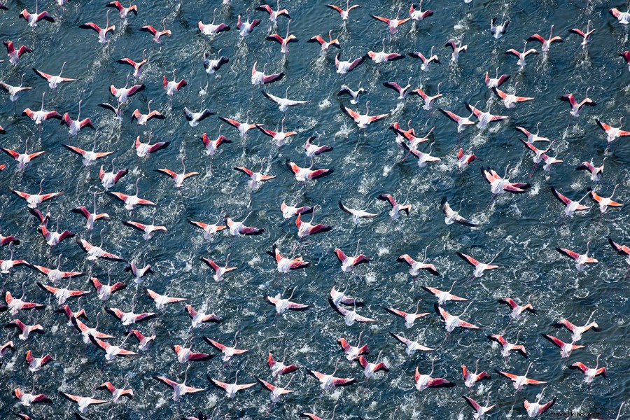 Around the Web: Curated Highlights for April 19, 2014