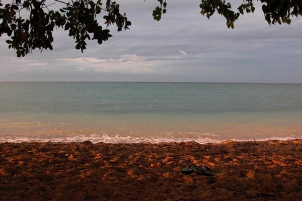 Vorovoro Island: Fiji s Resilient Private Paradise of Sustainability